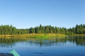 IMG_2809 - копия - копия - копия - копия - копия